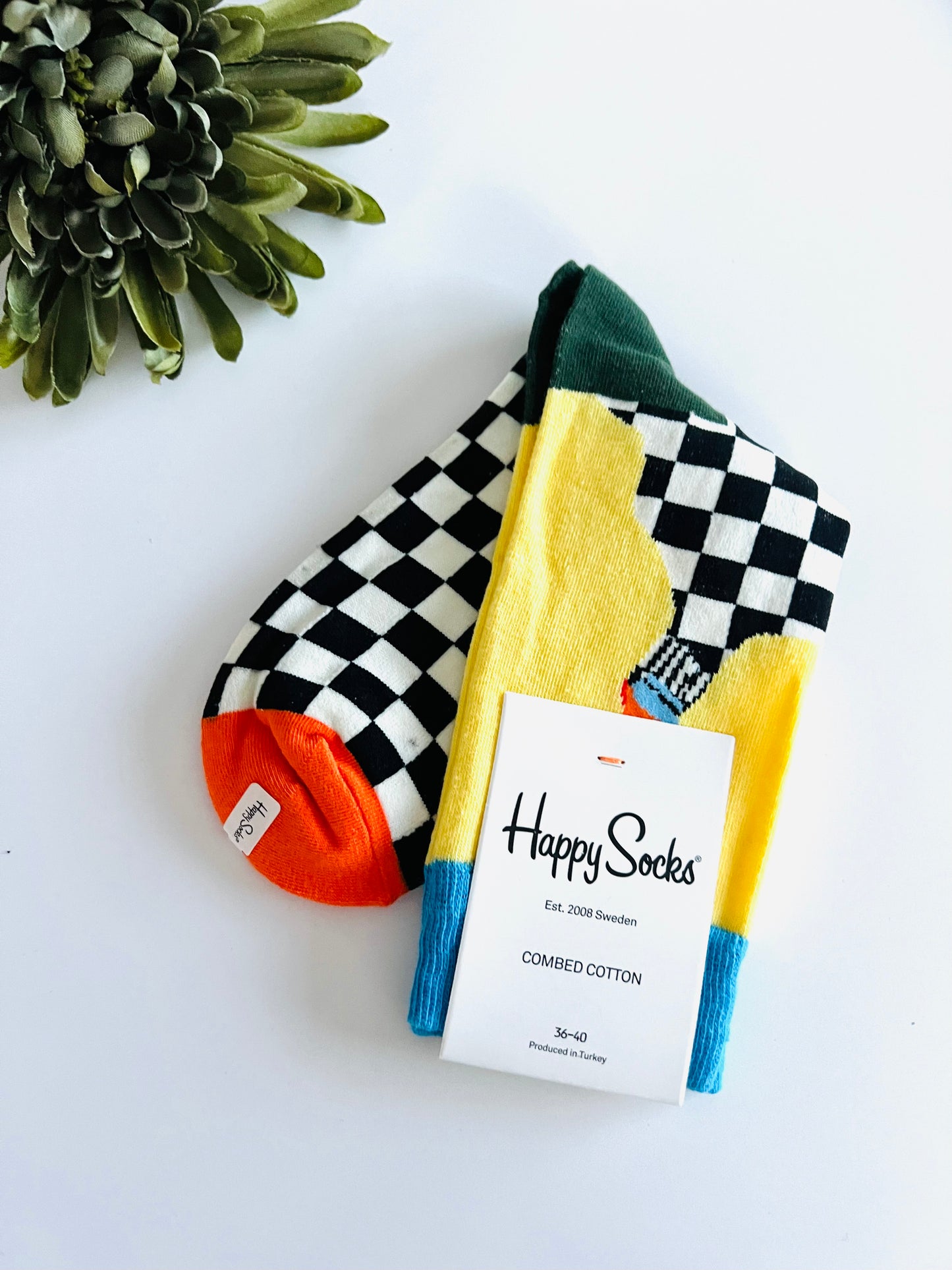 Paint brush Socks