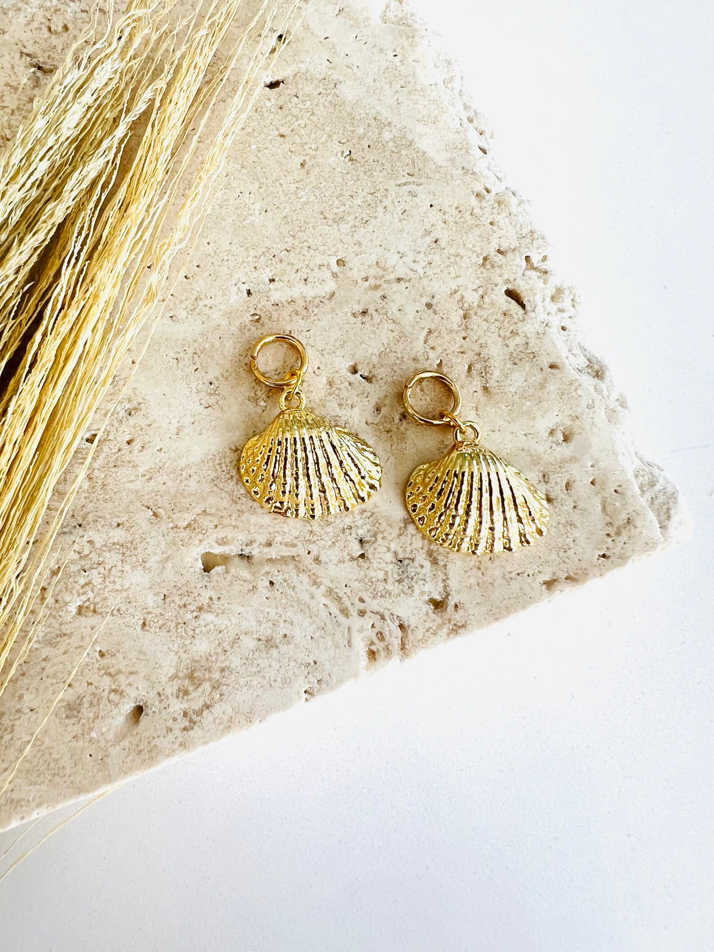Shell Charms