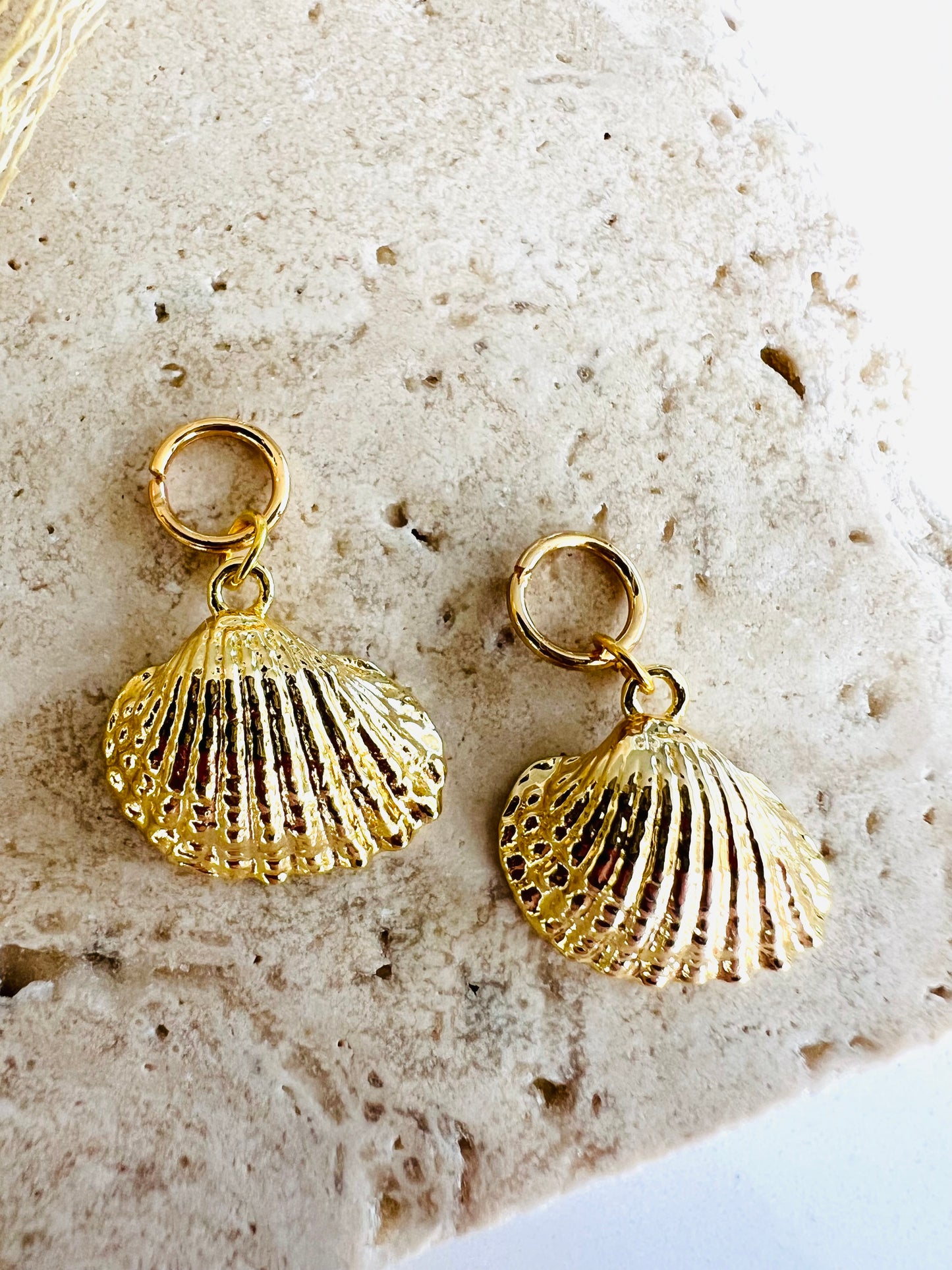 Shell Charms