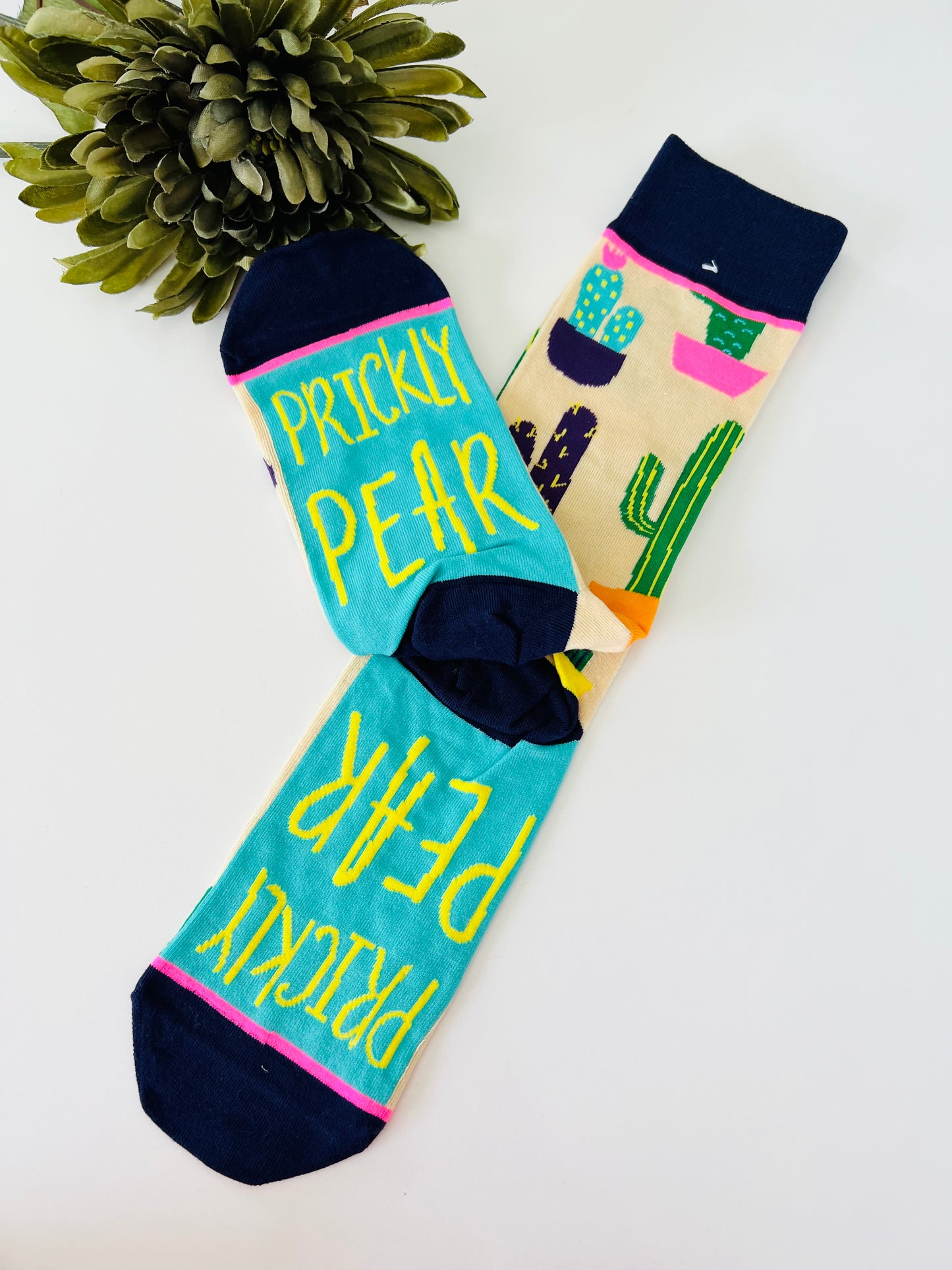 Prickly Pear Socks